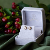 Our holiday obsessions
