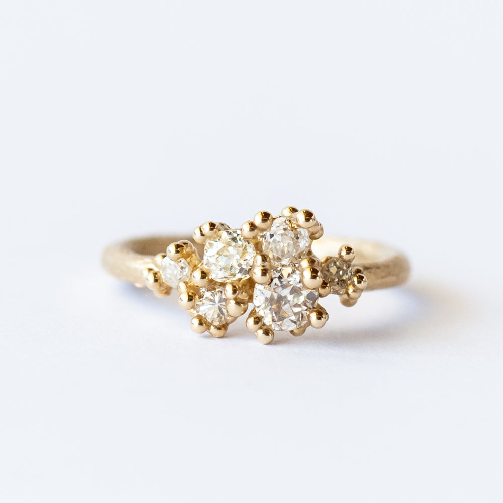 Cluster Rings – LAPIS