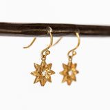 Victoria Cunningham | Sunshine Drop Earrings