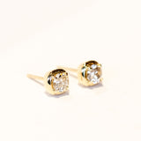 Cori Stud Earrings