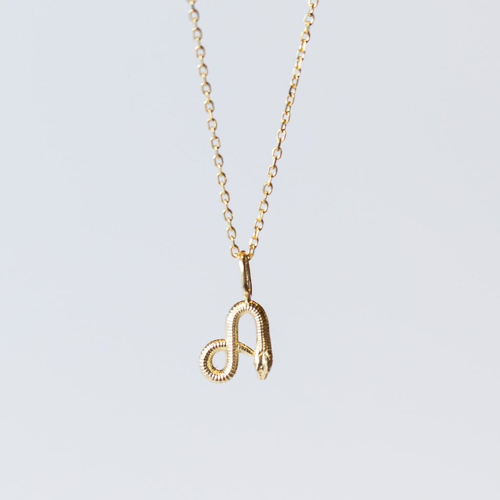 A letter "A" gold pendant with a snake making up the letter, hanging on a cable chain necklace.