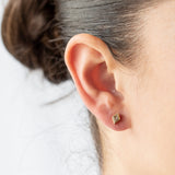 Teddi Stud Earrings