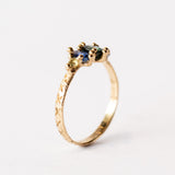 Blue and Green Harlequin Ring