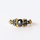 Black Diamond Nico Ring