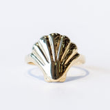 Scallop Shell Ring