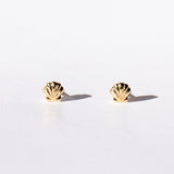 Petite Scallop Shell Stud Earrings