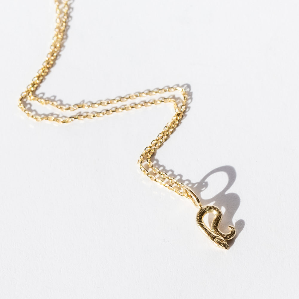 Nagini Letter Pendant Necklace