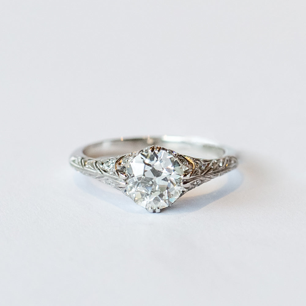 Charlotte Ring