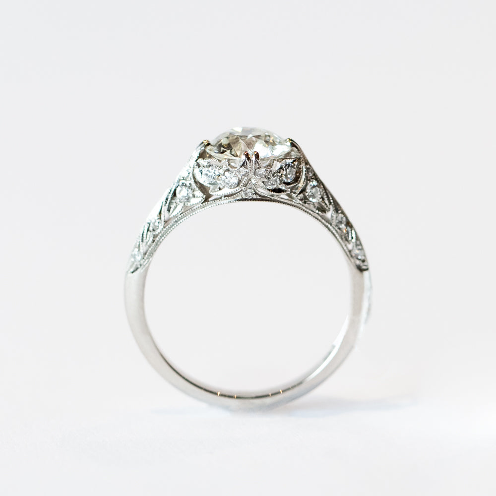 Charlotte Ring