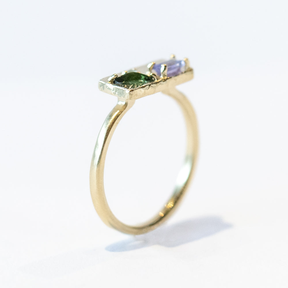 Small Collage Ring