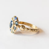 Blue and Green Sapphire Mega Halo Ring