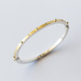 Junia 2.5mm Diamond Bangle