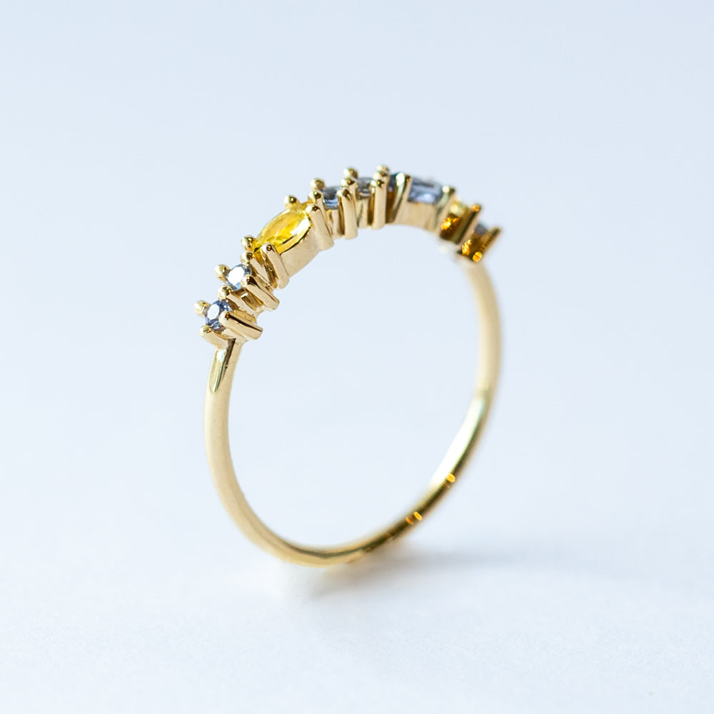Sophie d'Agon | Gaia Ring 2, Givre