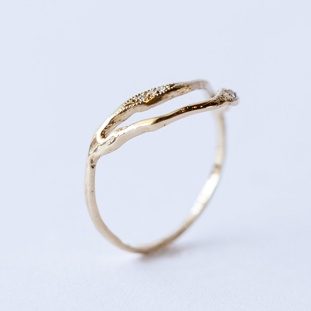Double Tide Ring