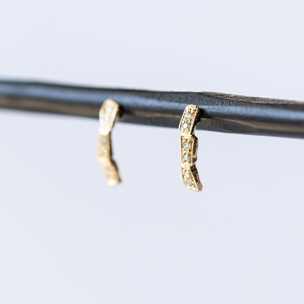 Scenic Curve Earrings