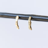 Scenic Curve Earrings