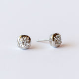 Cori Stud Earrings