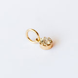 Polly Charm