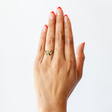 Sophie d'Agon | Camélia Ring 1, Peacock