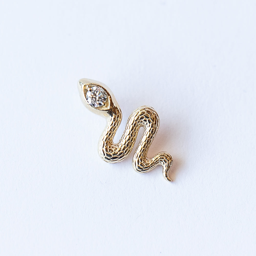 Diamond Head Snake Charm