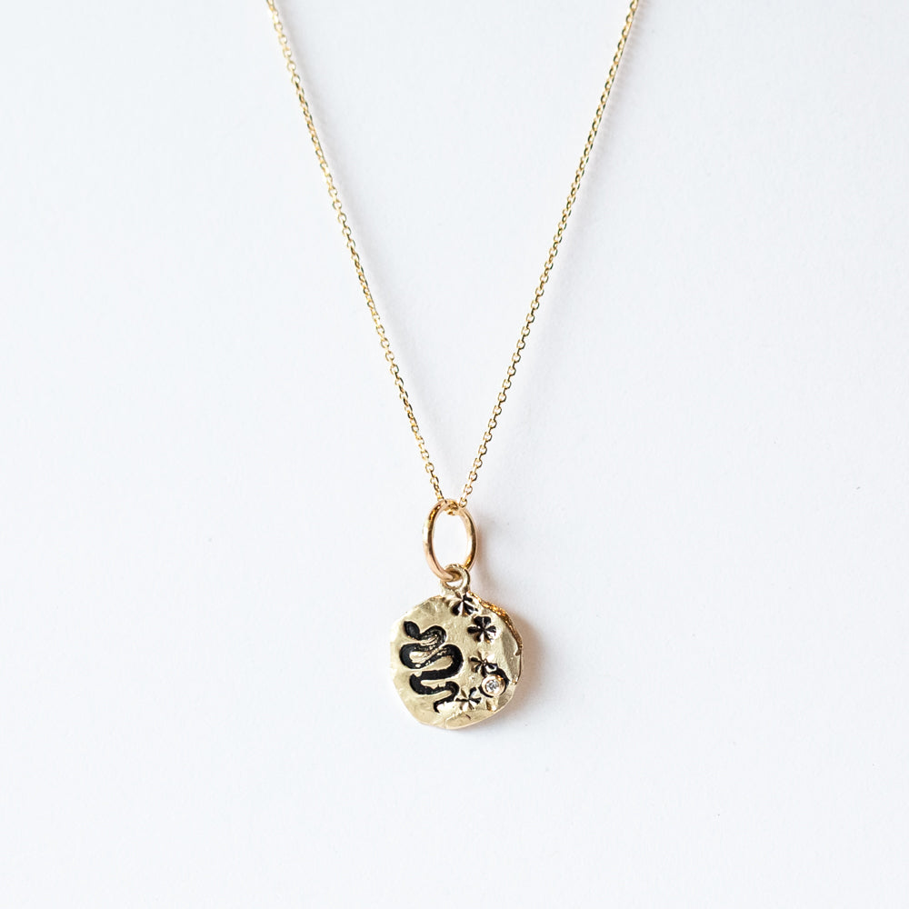 Victoria Cunningham | Hidden Truth Snake and Stars Charm