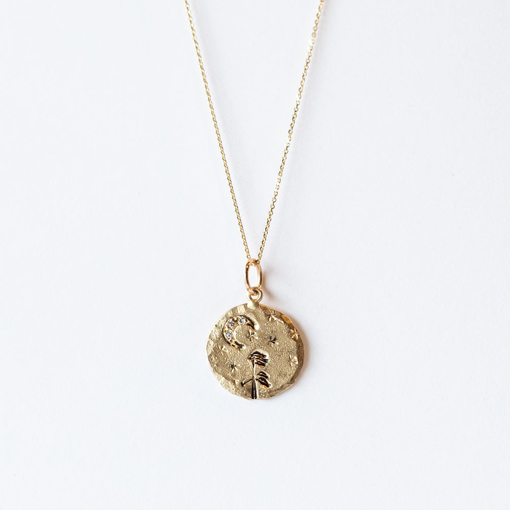 Victoria Cunningham | Stargazing Medium Disc Charm