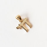 Chai Talisman Charm