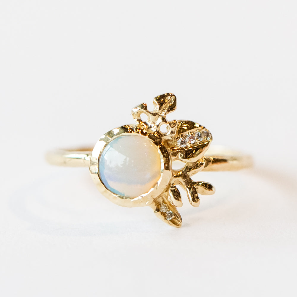 Misa – LAPIS
