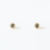 Small Tourmalated Quartz Octagon Stud Earrings