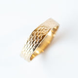 Snakeskin Band