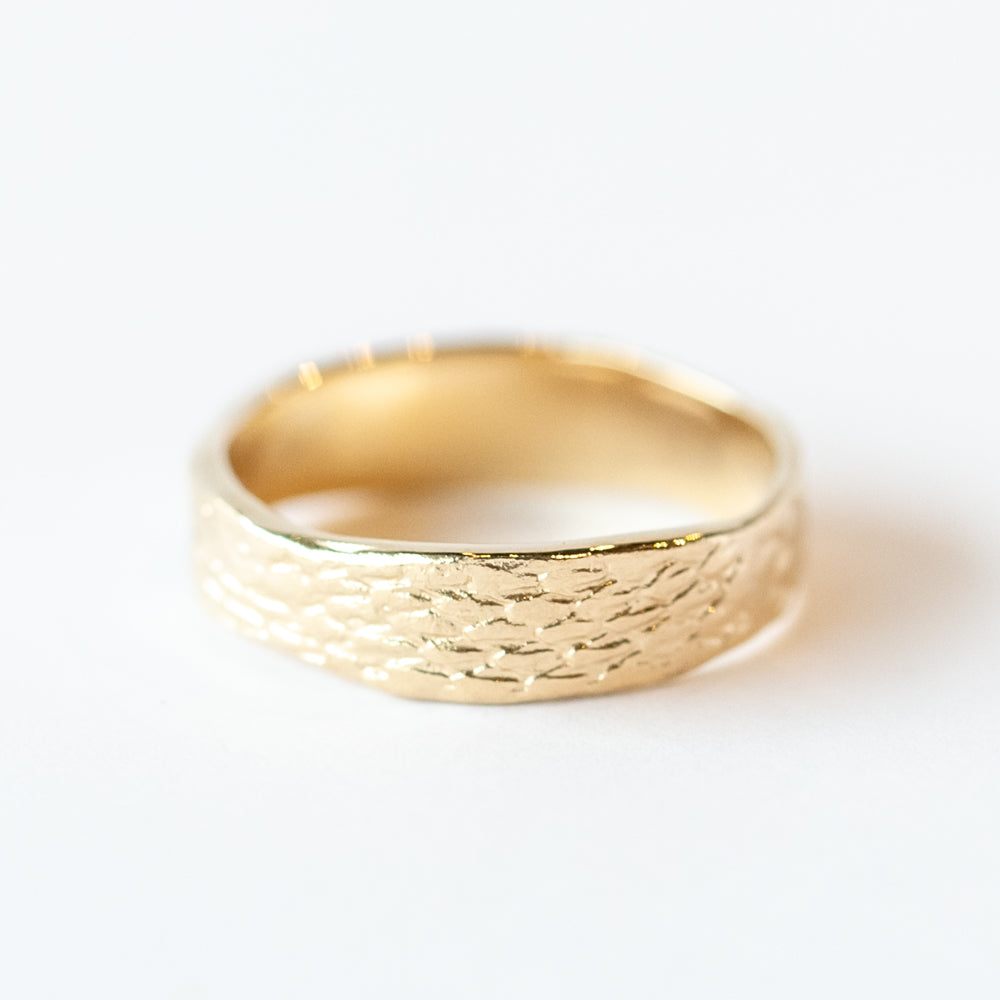 Snakeskin Band