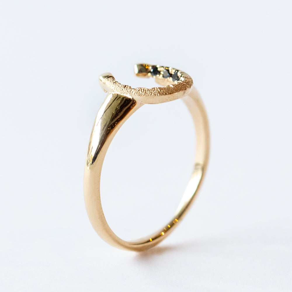 Little Luck Black Diamond Horseshoe Ring