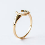 Little Luck Black Diamond Horseshoe Ring