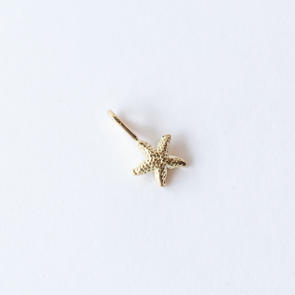 Tiny Starfish Charm