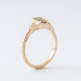 Armach Three-Stone Diamond Organic Engagement Ring