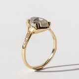 Guardian Salt and Pepper Pear-Cut Diamond Ring