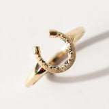 Black and White Diamond Little Luck Horseshoe Ring