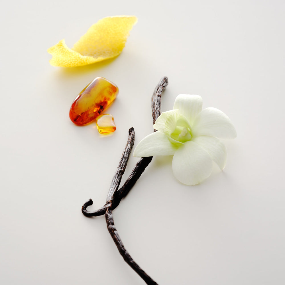 No. 15 Vanille Infinie Perfume Oil