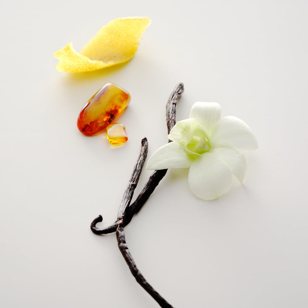No. 15 Vanille Infinie Candle