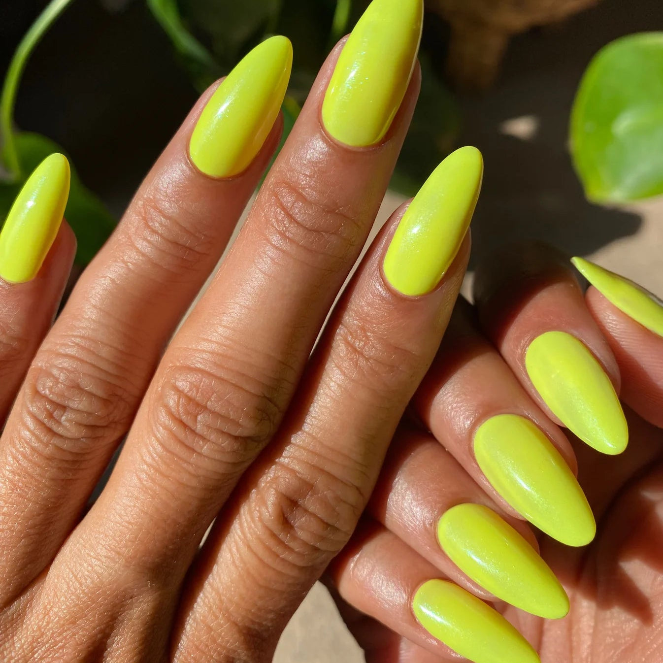 Barefoot Beauty Nail Polish