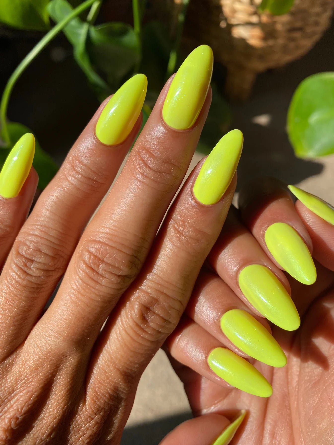 Barefoot Beauty Nail Polish