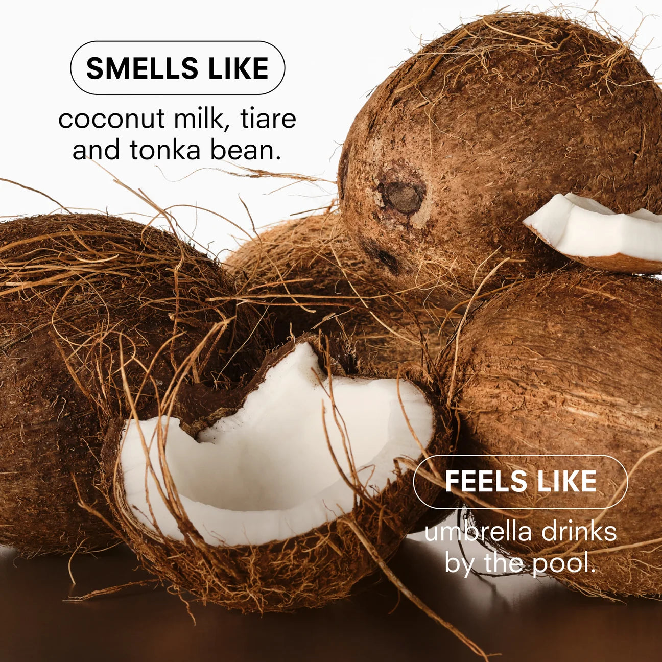 Coco Cream Candle, 8.5oz