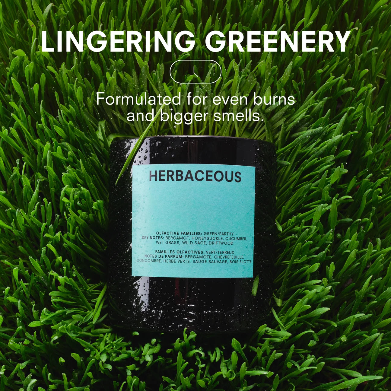 Herbaceous Candle, 8.5oz