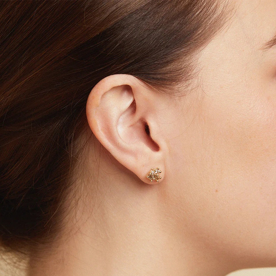 Mixed Diamond Luminous Cluster Stud Earrings