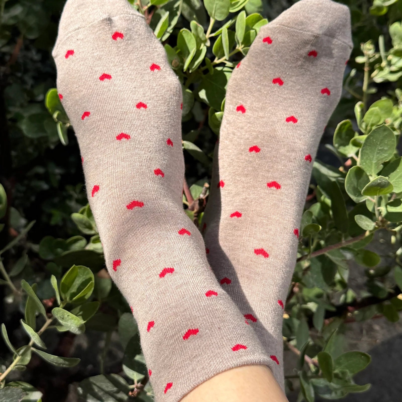 Heart Sneaker Socks, Latte / Red