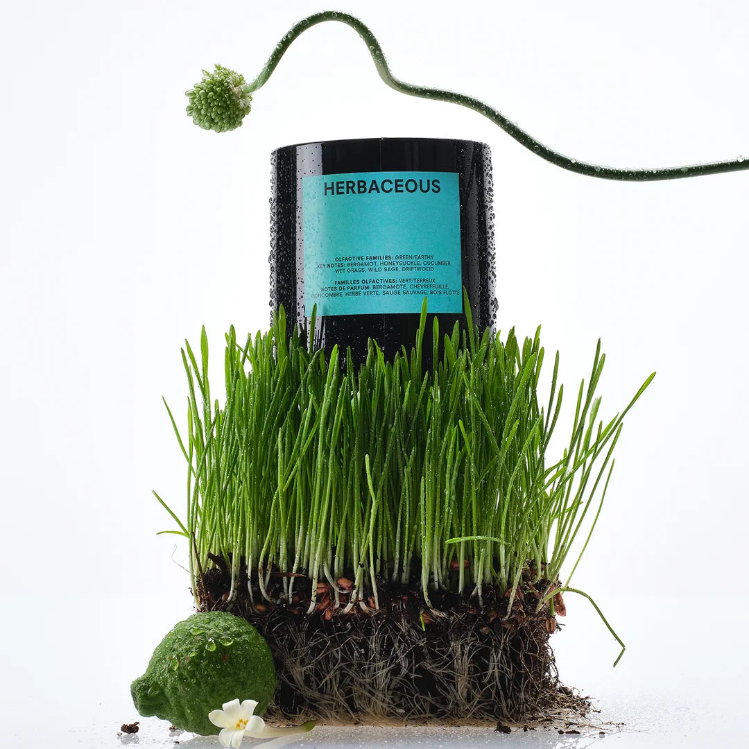 Herbaceous Candle, 8.5oz