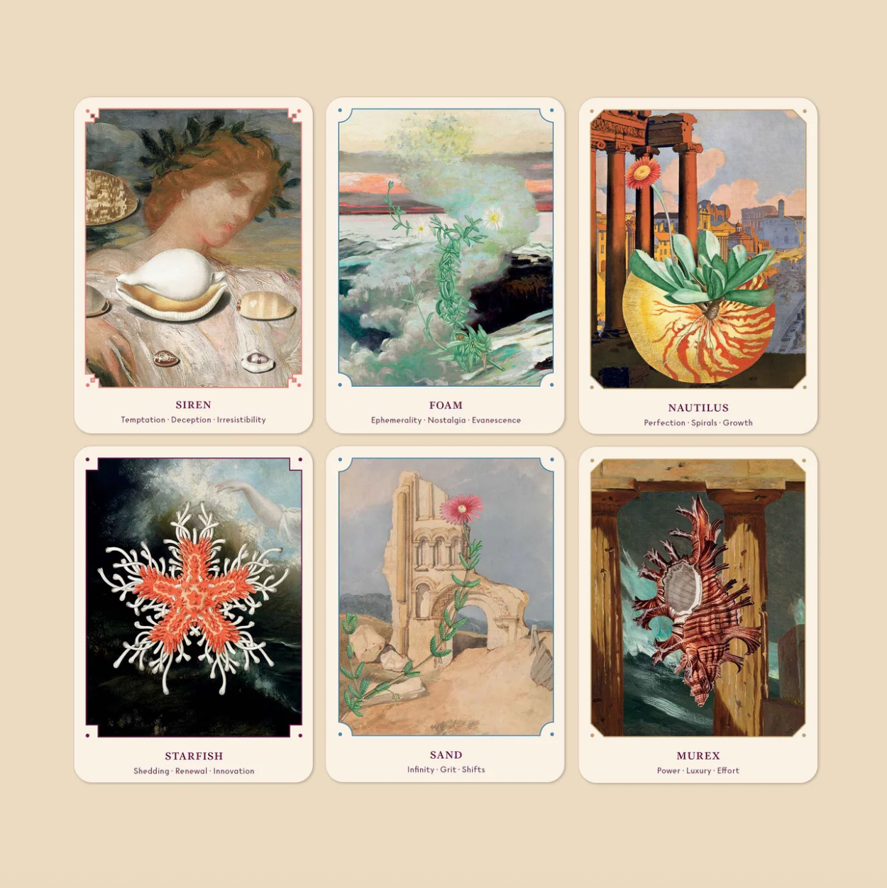 The Seashell Oracle: 44 Card Tarot Deck