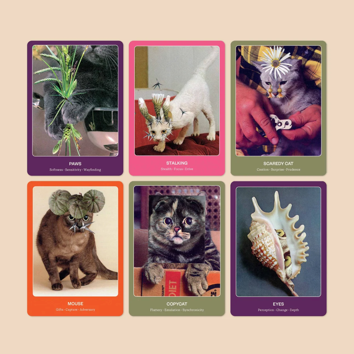 The Cat Oracle: 33 Card Tarot Deck
