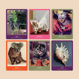 The Cat Oracle: 33 Card Tarot Deck