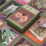 The Cat Oracle: 33 Card Tarot Deck